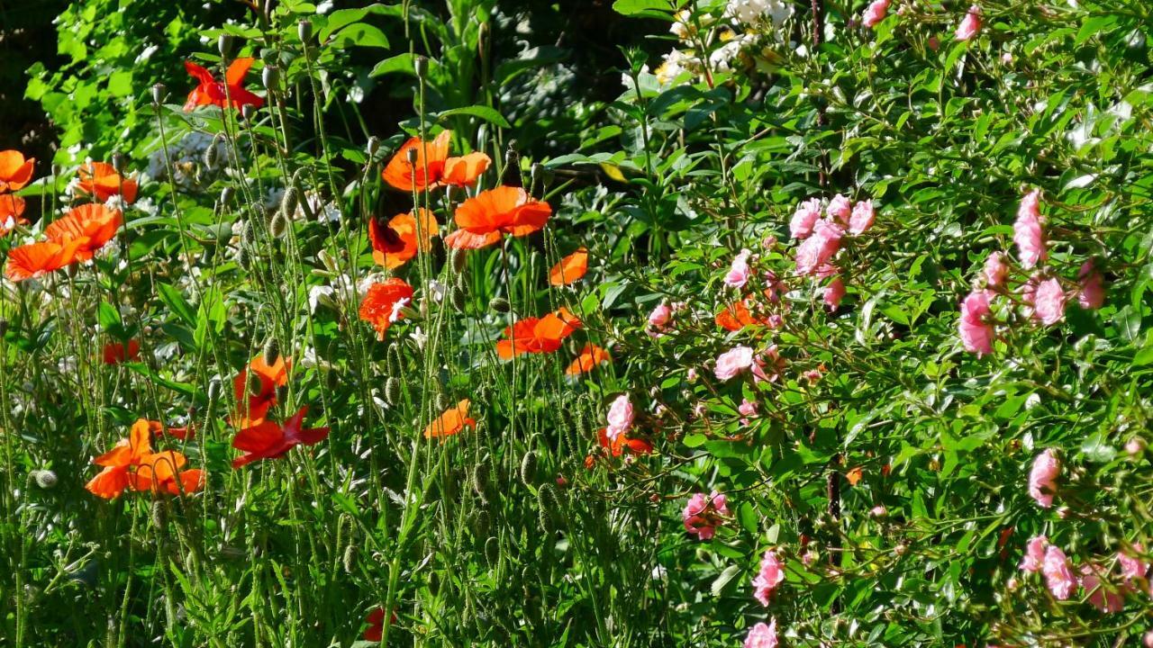 Bed and Breakfast Le Petit Potager Montbel  Екстер'єр фото